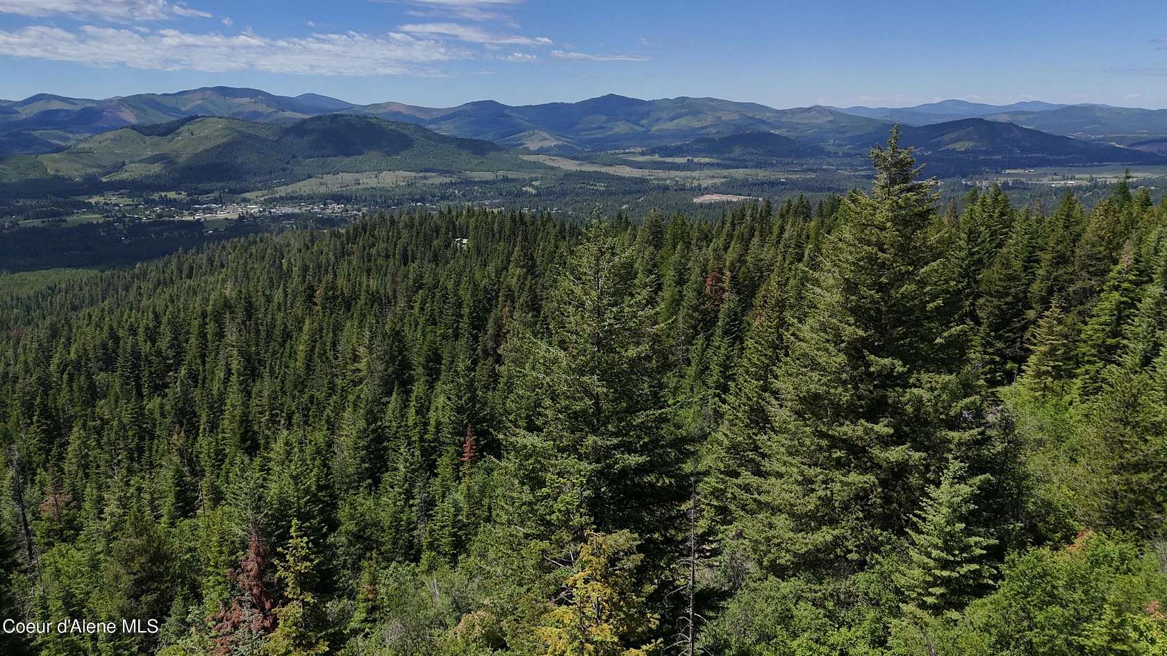 6.1 Acres of Land for Sale in Fernwood, Idaho