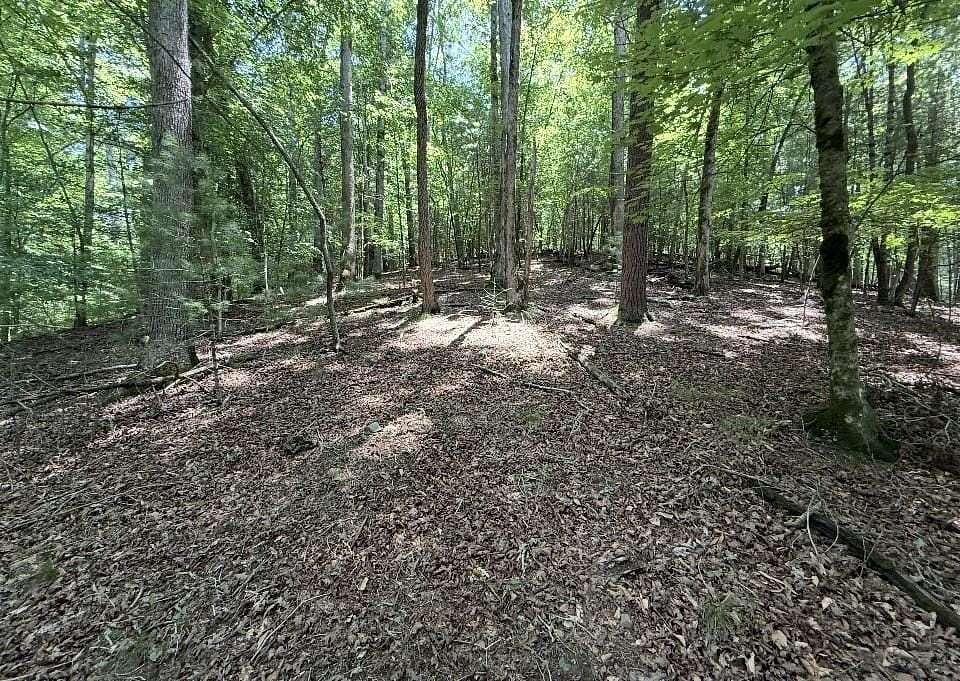 1 Acre of Residential Land for Sale in Ellijay, Georgia
