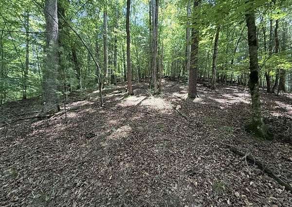1 Acre of Residential Land for Sale in Ellijay, Georgia