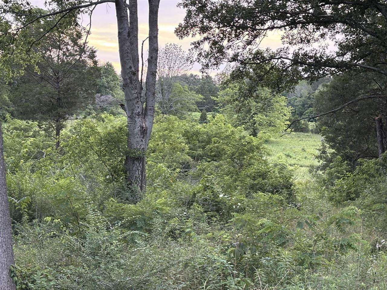 17.5 Acres of Land for Sale in Smiths Grove, Kentucky