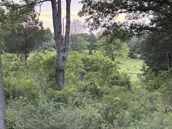 17.5 Acres of Land for Sale in Smiths Grove, Kentucky