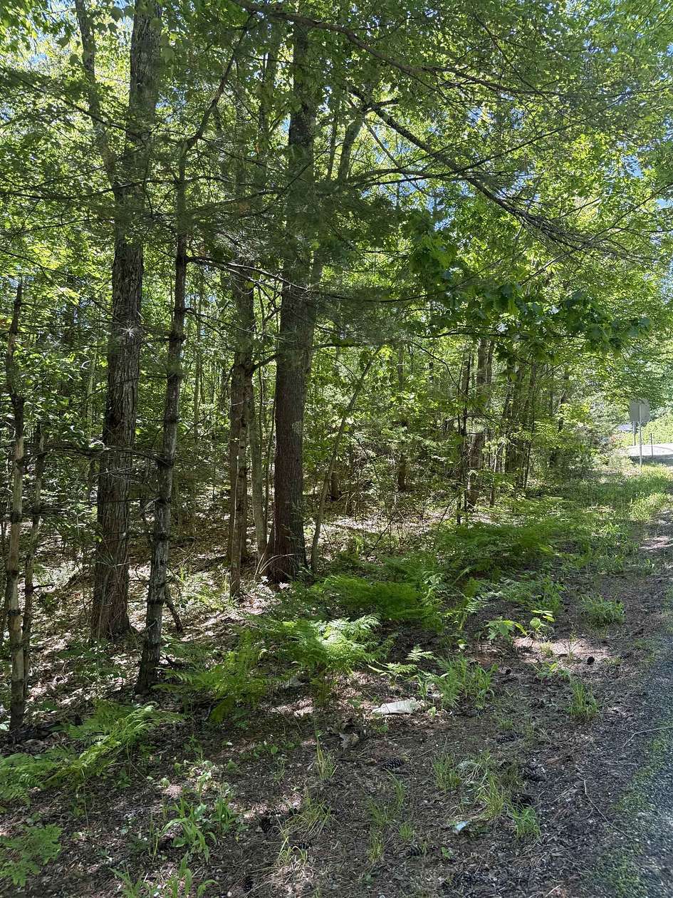 11 Acres of Agricultural Land for Sale in Barrington, New Hampshire