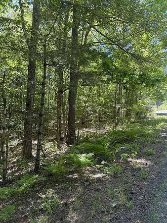 11 Acres of Agricultural Land for Sale in Barrington, New Hampshire
