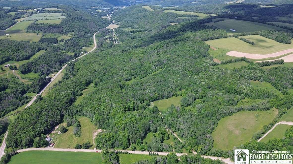 81.4 Acres of Land for Sale in Rexville, New York