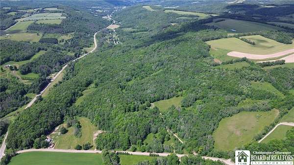 81.4 Acres of Land for Sale in Rexville, New York