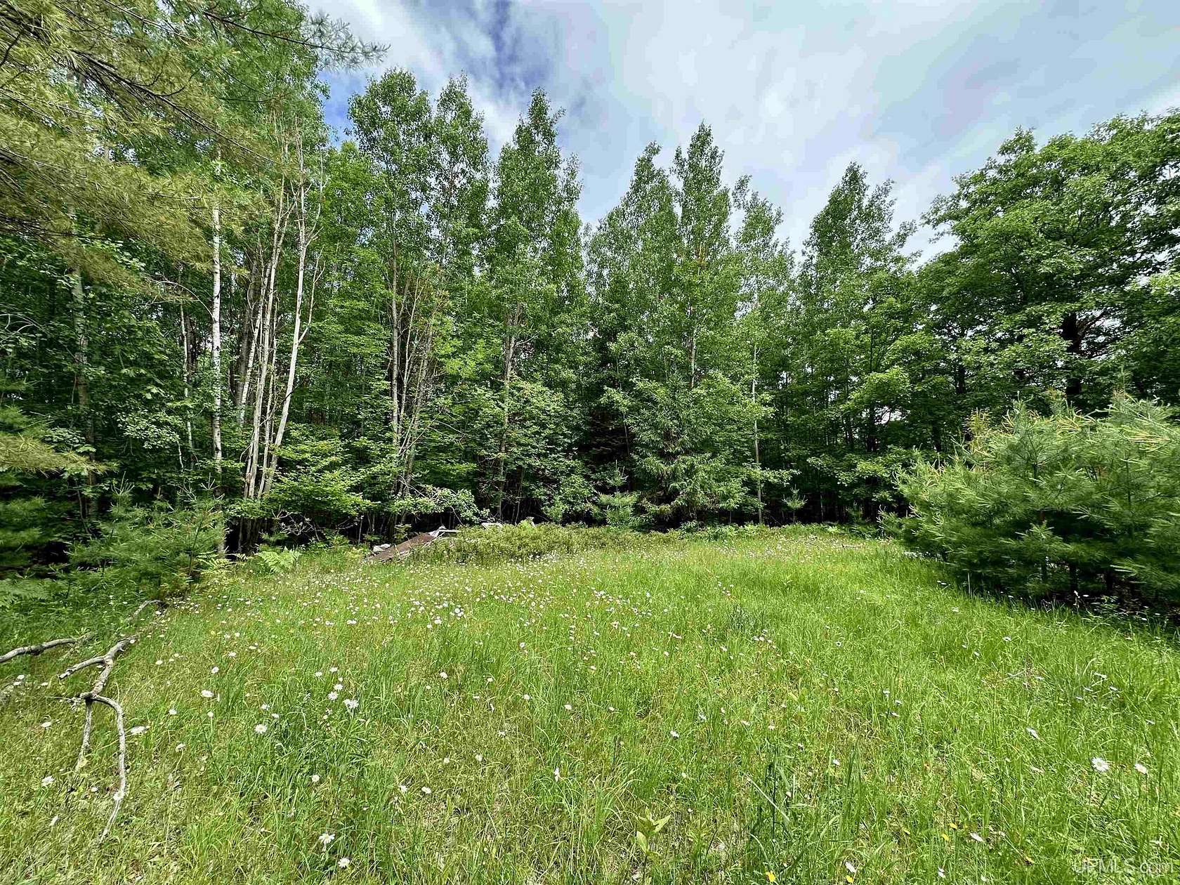 20 Acres of Recreational & Residential Land for Sale in Norway, Michigan
