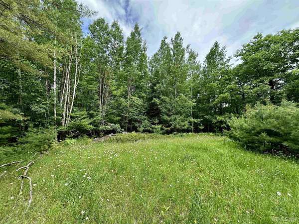 20 Acres of Recreational & Residential Land for Sale in Norway, Michigan