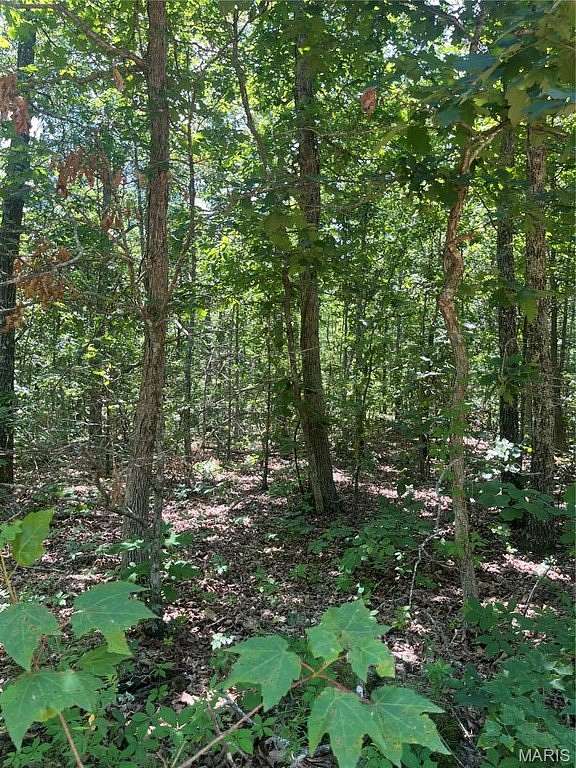 55 Acres of Recreational & Residential Land for Sale in Centerville, Missouri
