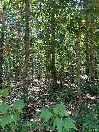 55 Acres of Recreational & Residential Land for Sale in Centerville, Missouri
