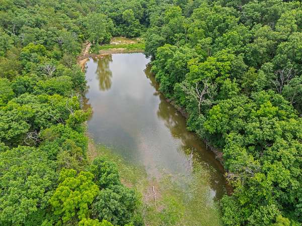 40 Acres of Recreational Land for Sale in Chadwick, Missouri