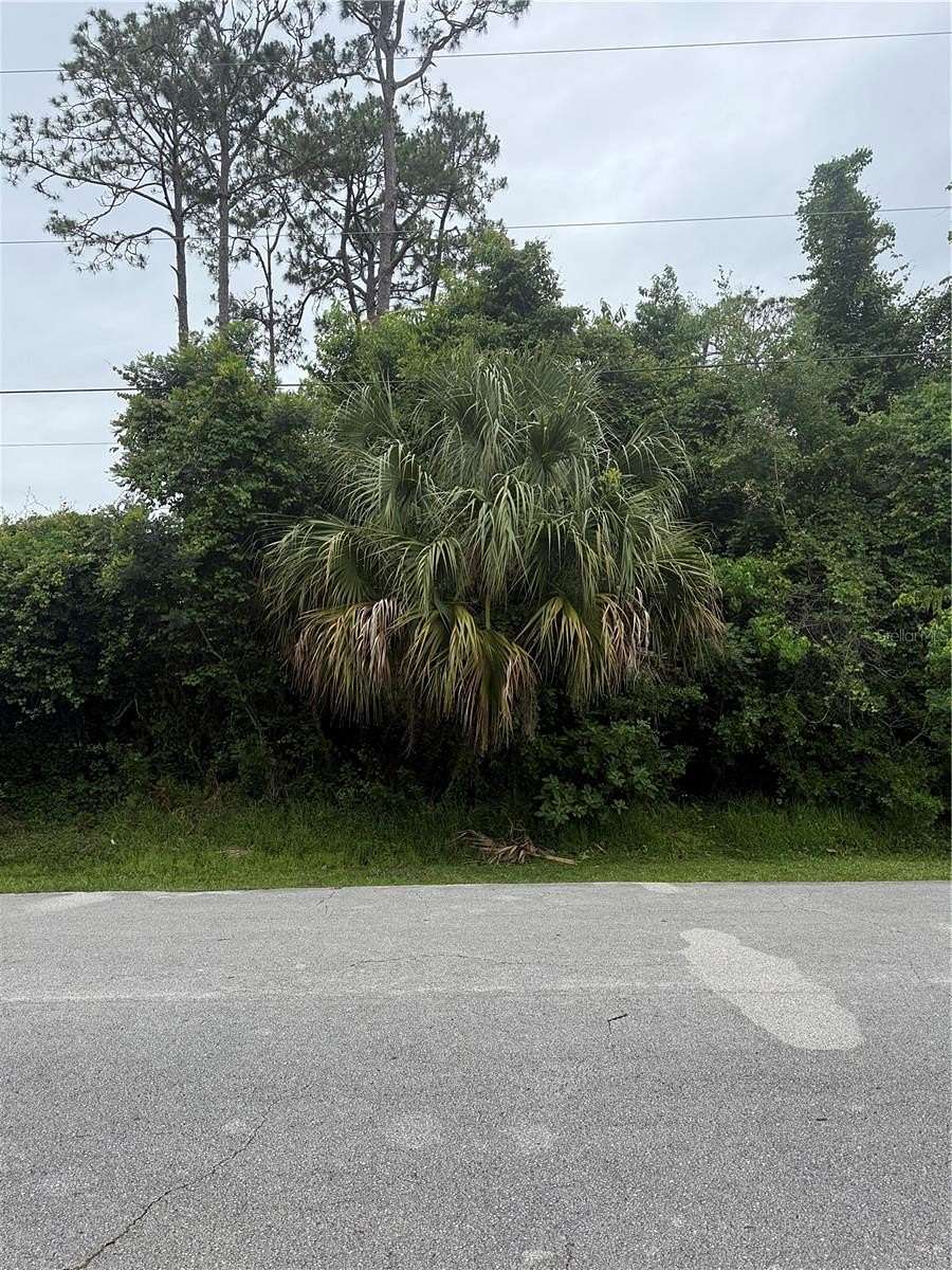 0.23 Acres of Residential Land for Sale in Palm Coast, Florida