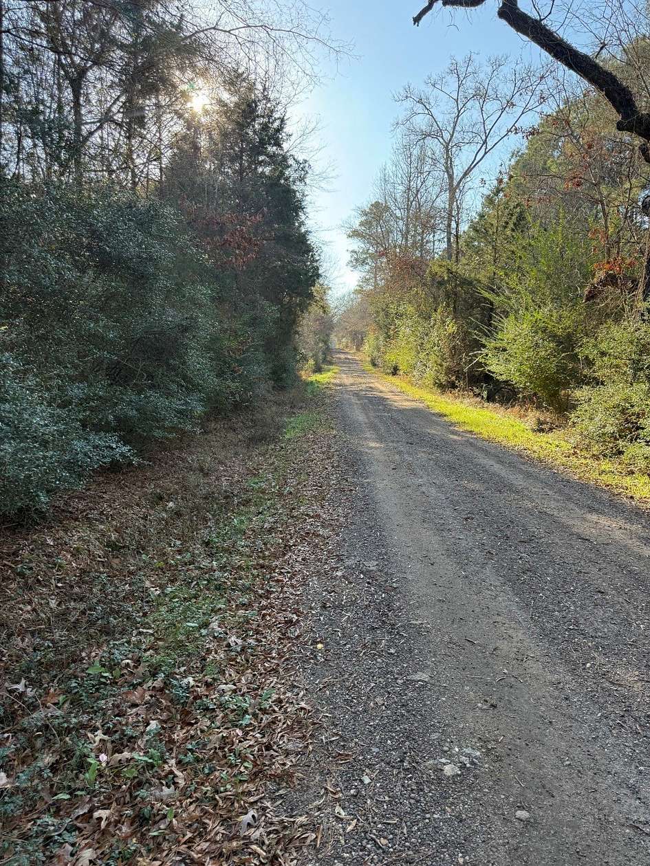 29.7 Acres of Recreational & Residential Land for Sale in Beckville, Texas