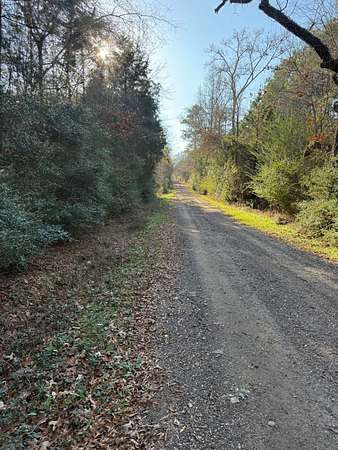 29.7 Acres of Recreational & Residential Land for Sale in Beckville, Texas