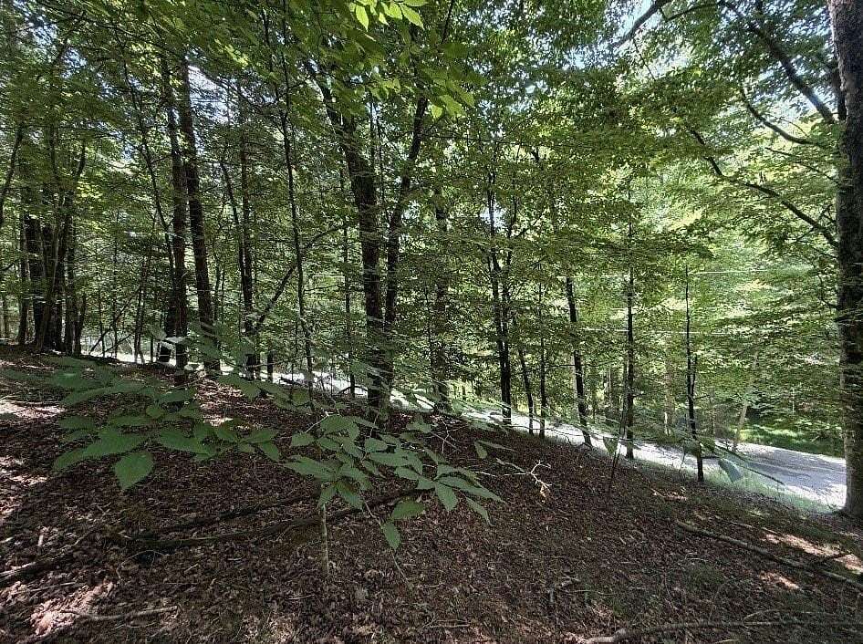 0.74 Acres of Residential Land for Sale in Ellijay, Georgia