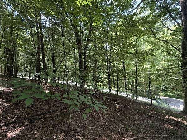 0.74 Acres of Residential Land for Sale in Ellijay, Georgia