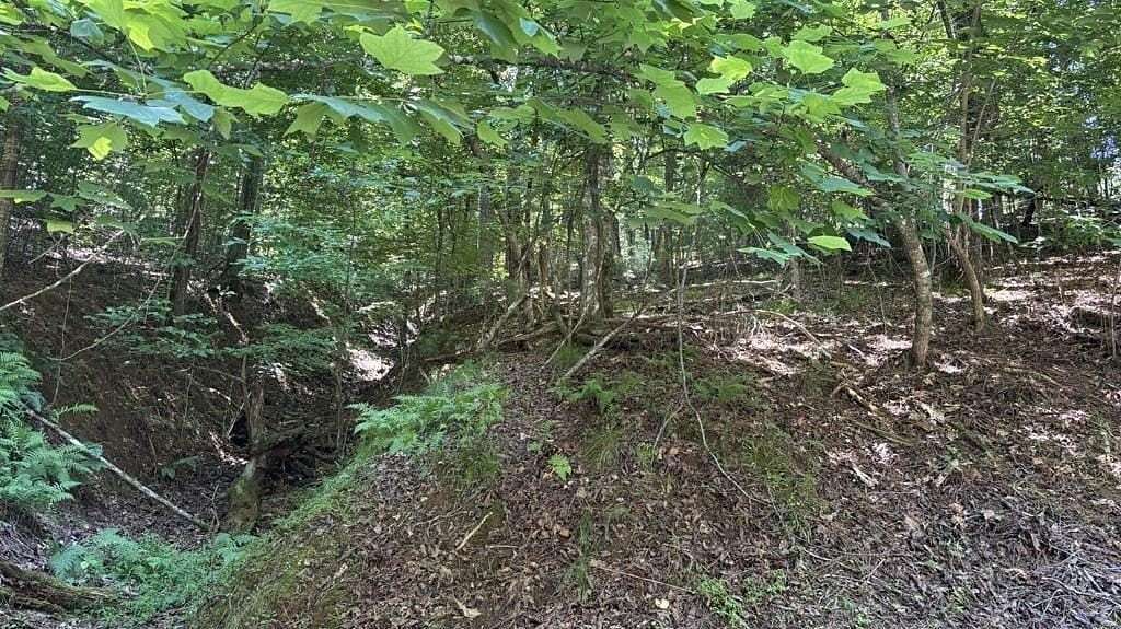 0.87 Acres of Residential Land for Sale in Ellijay, Georgia