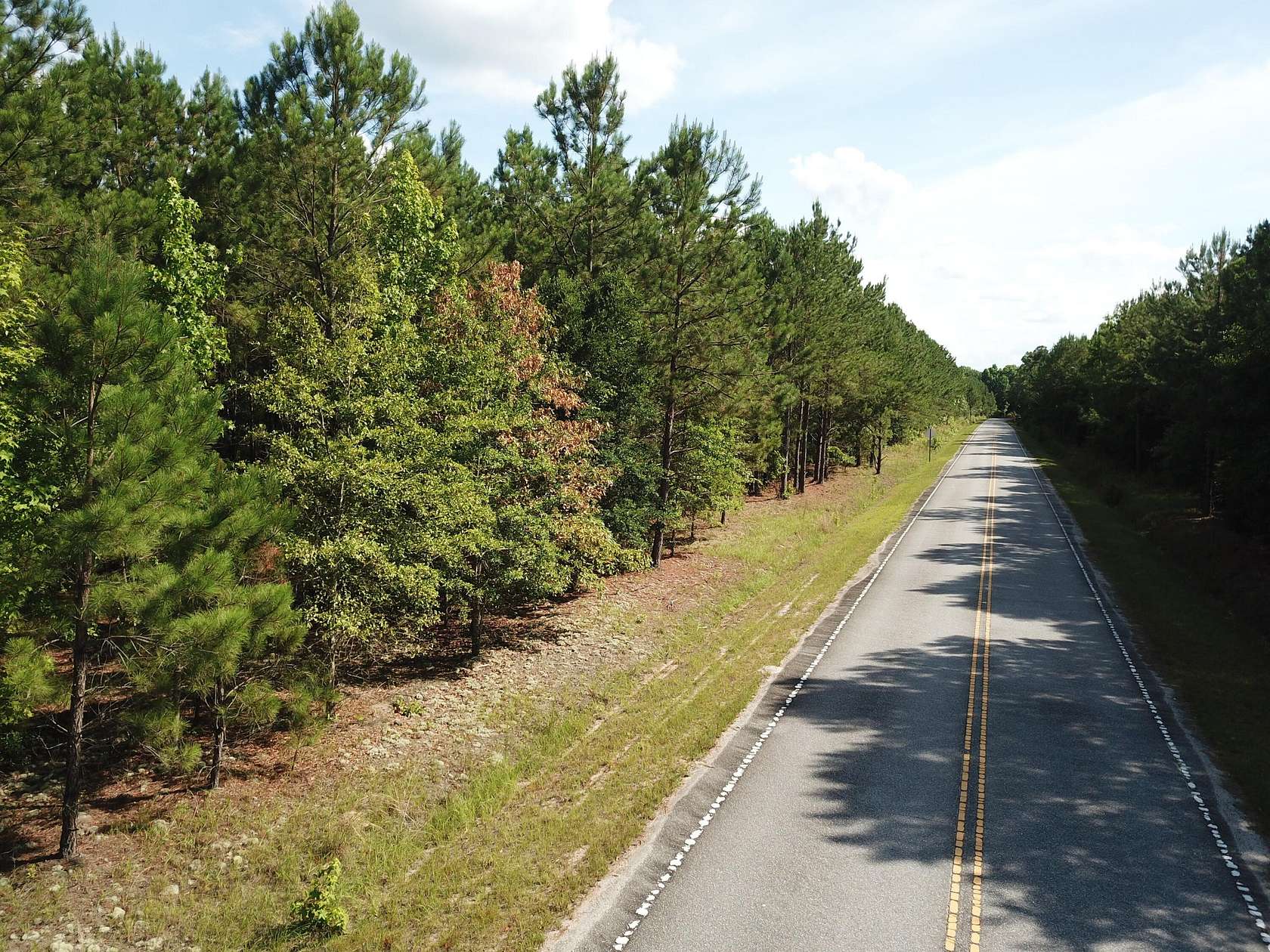 64 Acres of Recreational & Residential Land for Sale in Rembert, South Carolina