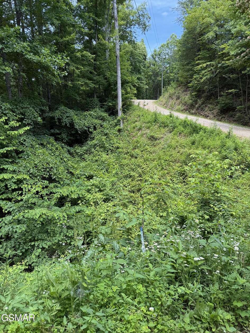 0.34 Acres of Residential Land for Sale in Sevierville, Tennessee