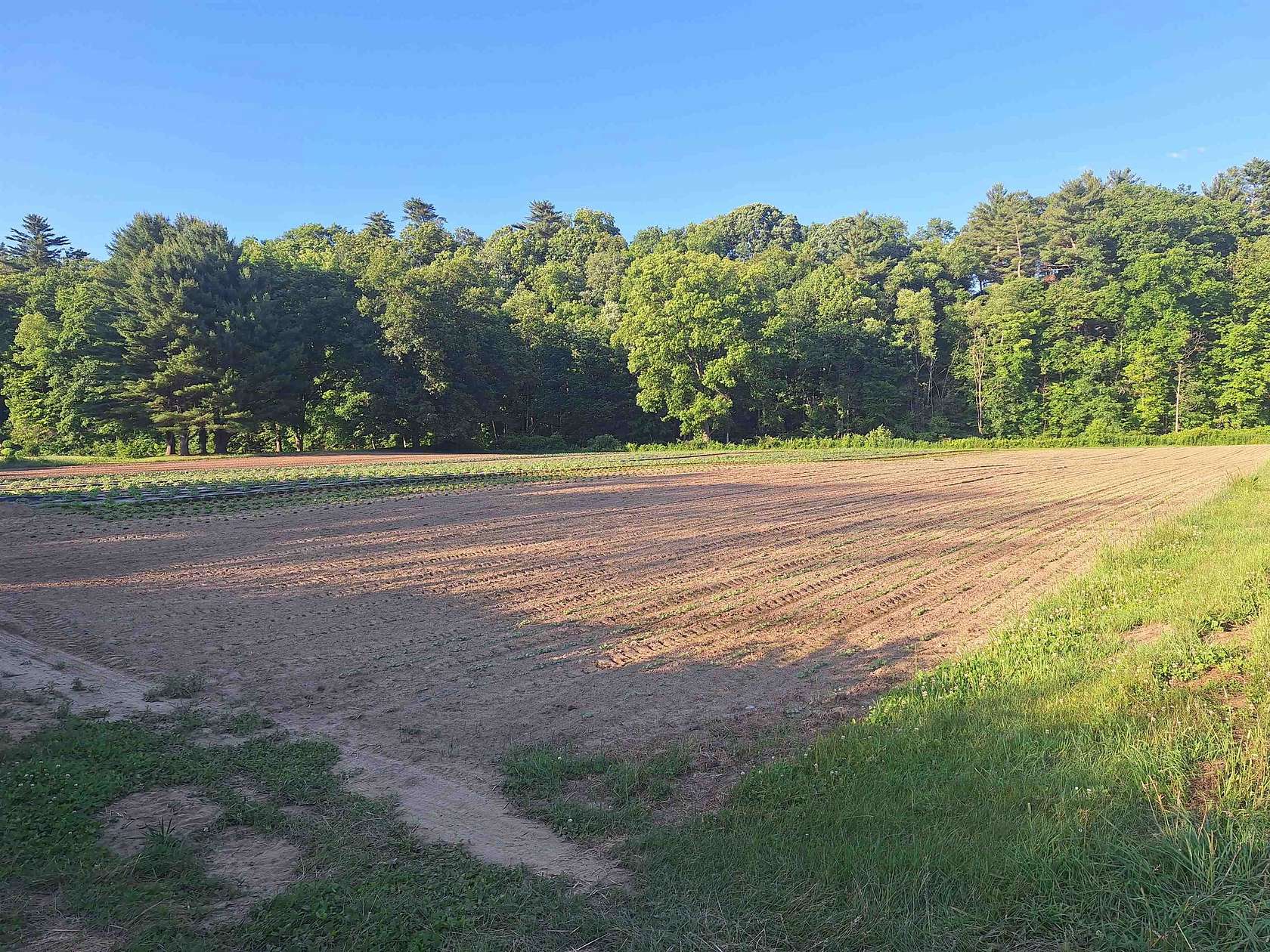 2 Acres of Mixed-Use Land for Sale in Walpole, New Hampshire