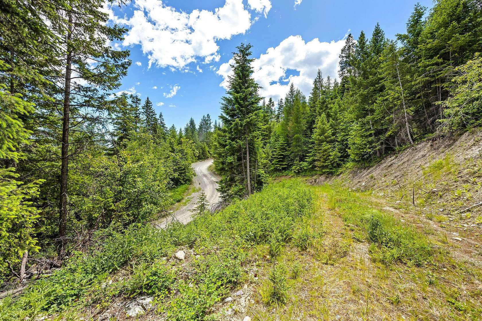 11 Acres of Recreational & Residential Land for Sale in Lakeside, Montana