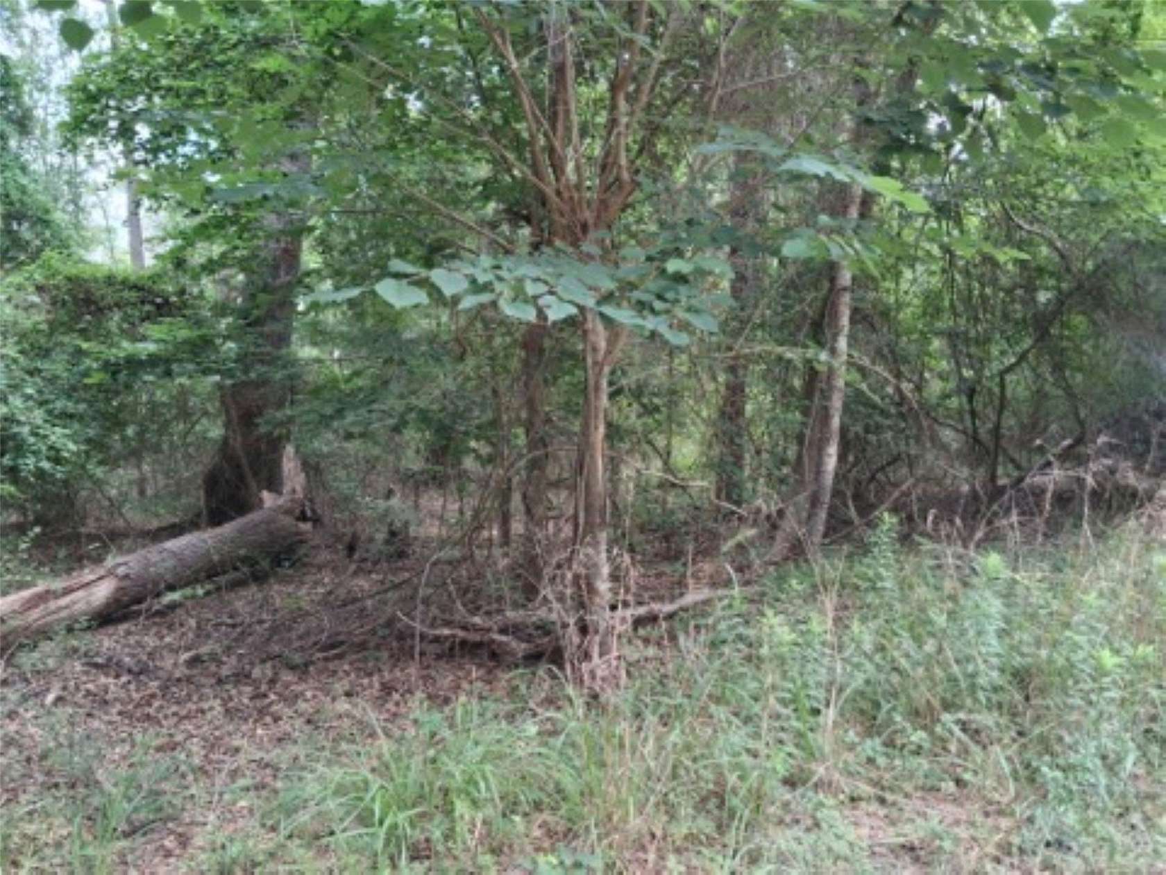 0.88 Acres of Residential Land for Sale in Murchison, Texas