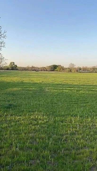 1 Acre of Land for Sale in Bridgeport, Texas