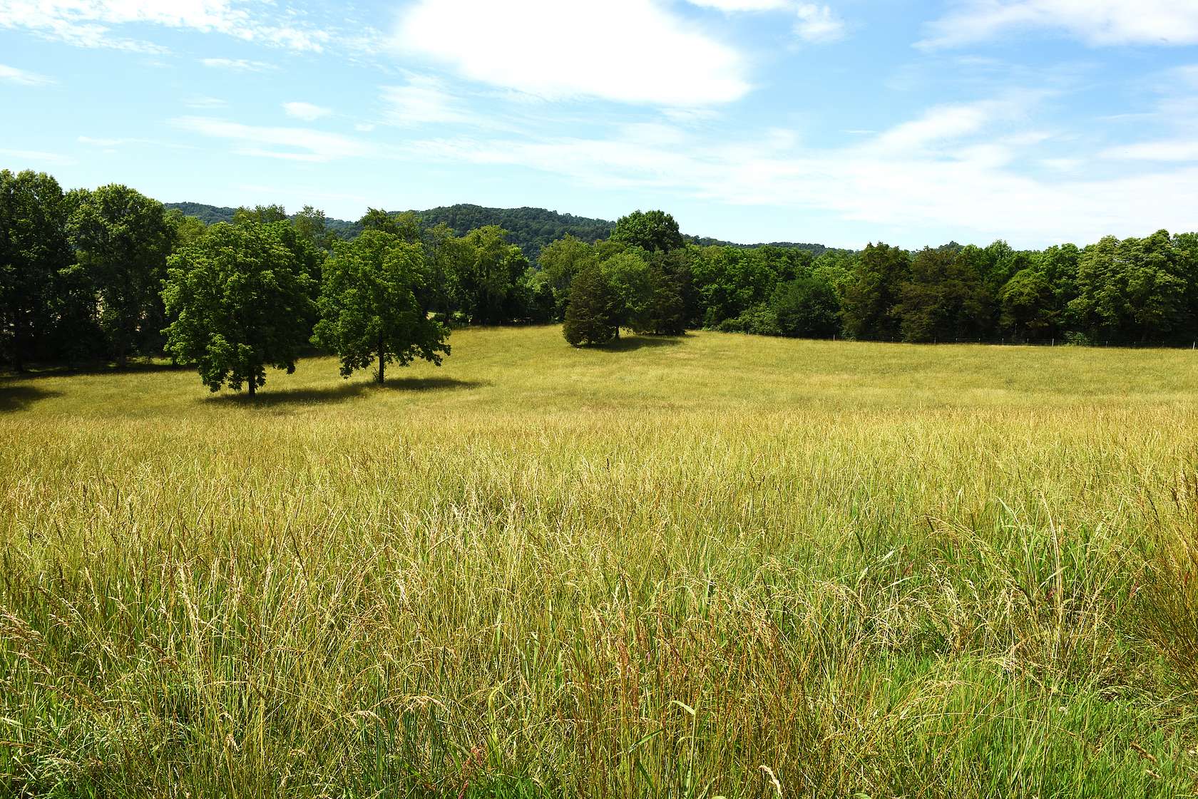 14.1 Acres of Land for Sale in Burkesville, Kentucky