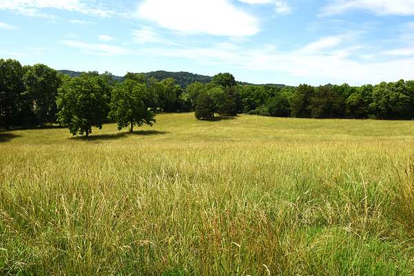 14.1 Acres of Land for Sale in Burkesville, Kentucky