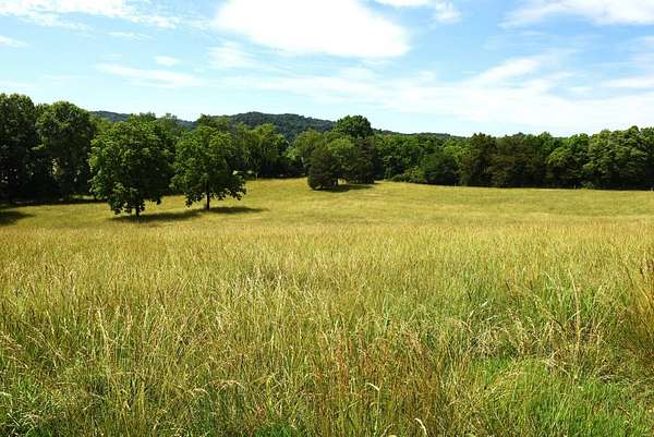 14.1 Acres of Land for Sale in Burkesville, Kentucky