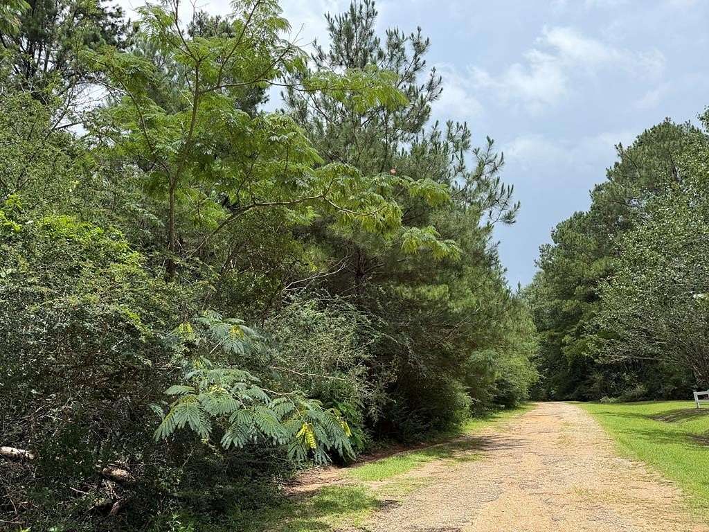 0.73 Acres of Residential Land for Sale in Lumberton, Mississippi