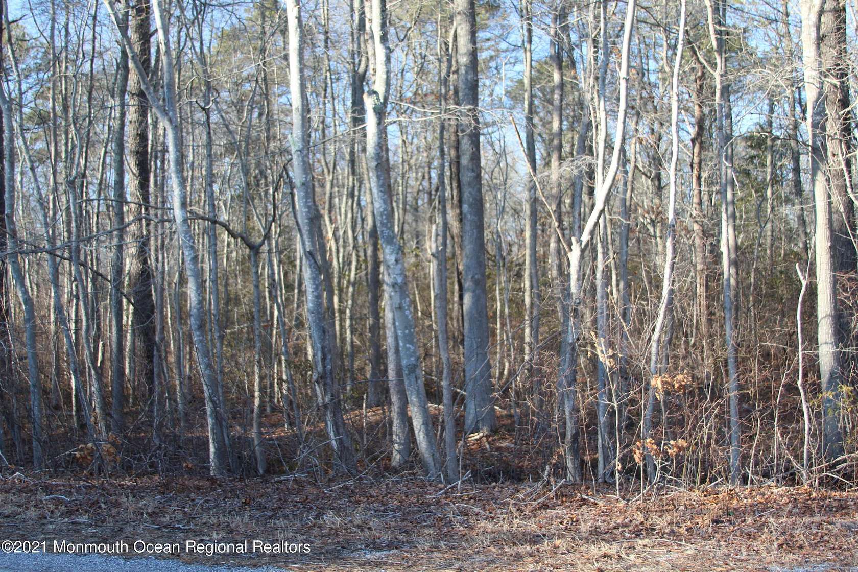 0.44 Acres of Residential Land for Sale in Barnegat, New Jersey