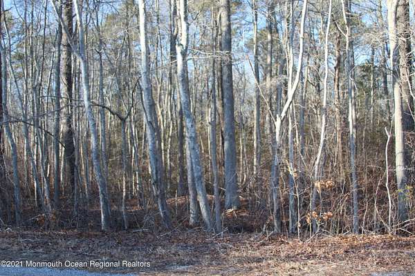 0.44 Acres of Residential Land for Sale in Barnegat, New Jersey