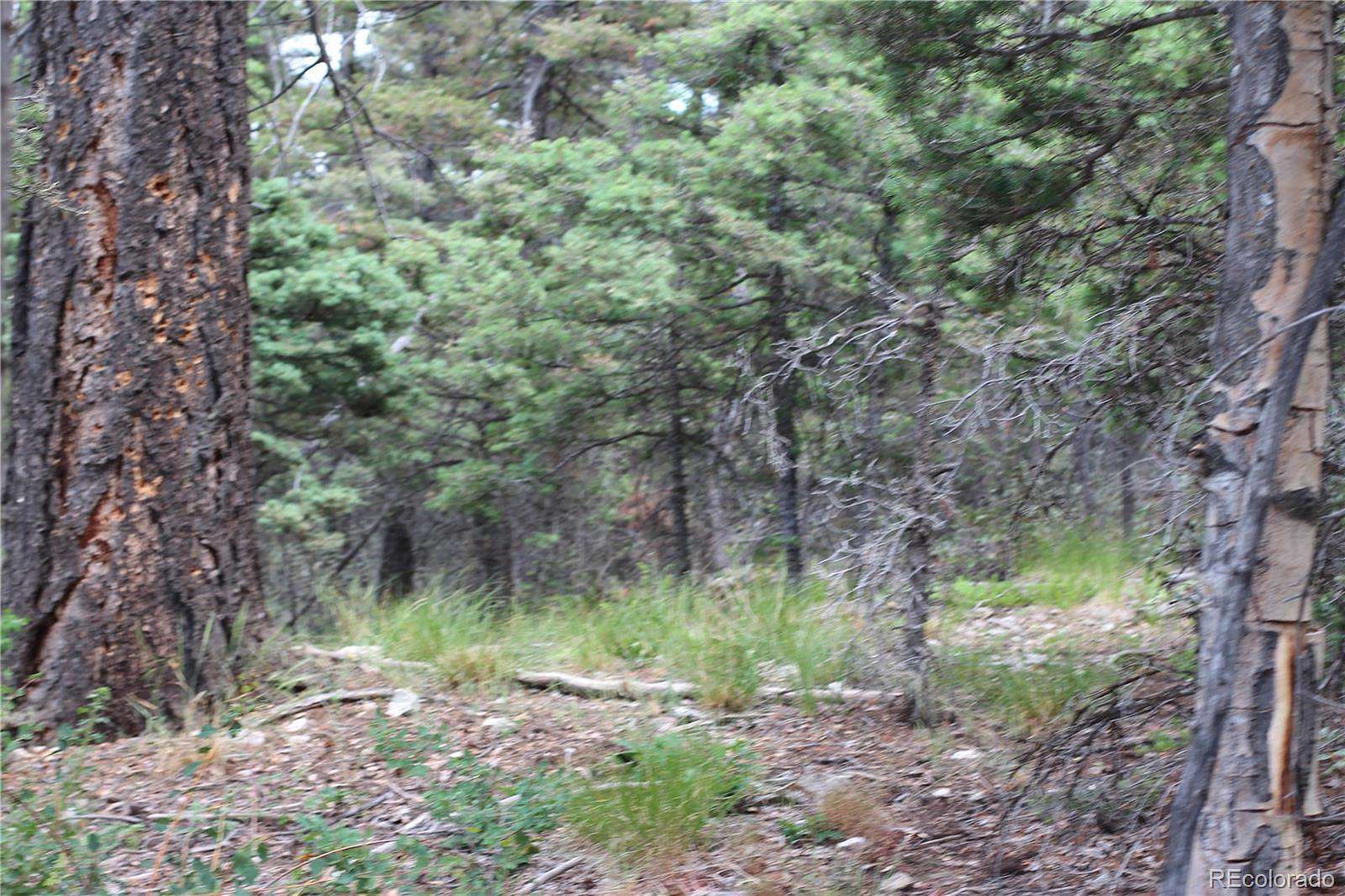 19.6 Acres of Land for Sale in San Luis, Colorado