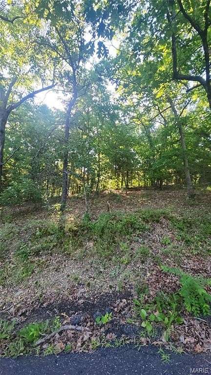 Residential Land for Sale in Owensville, Missouri