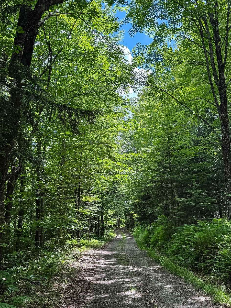 15.4 Acres of Land for Sale in Lowell, Vermont