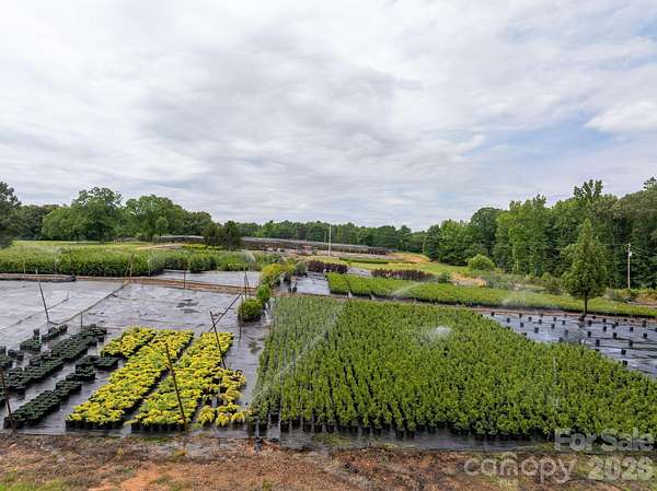 58 Acres of Land for Sale in Rutherfordton, North Carolina