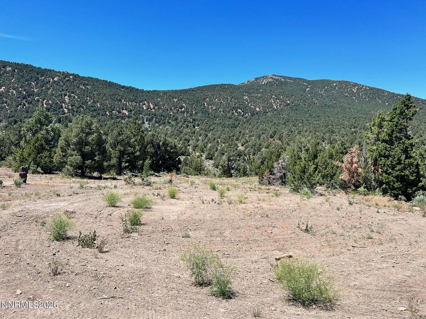 40 Acres of Recreational Land for Sale in Minden, Nevada