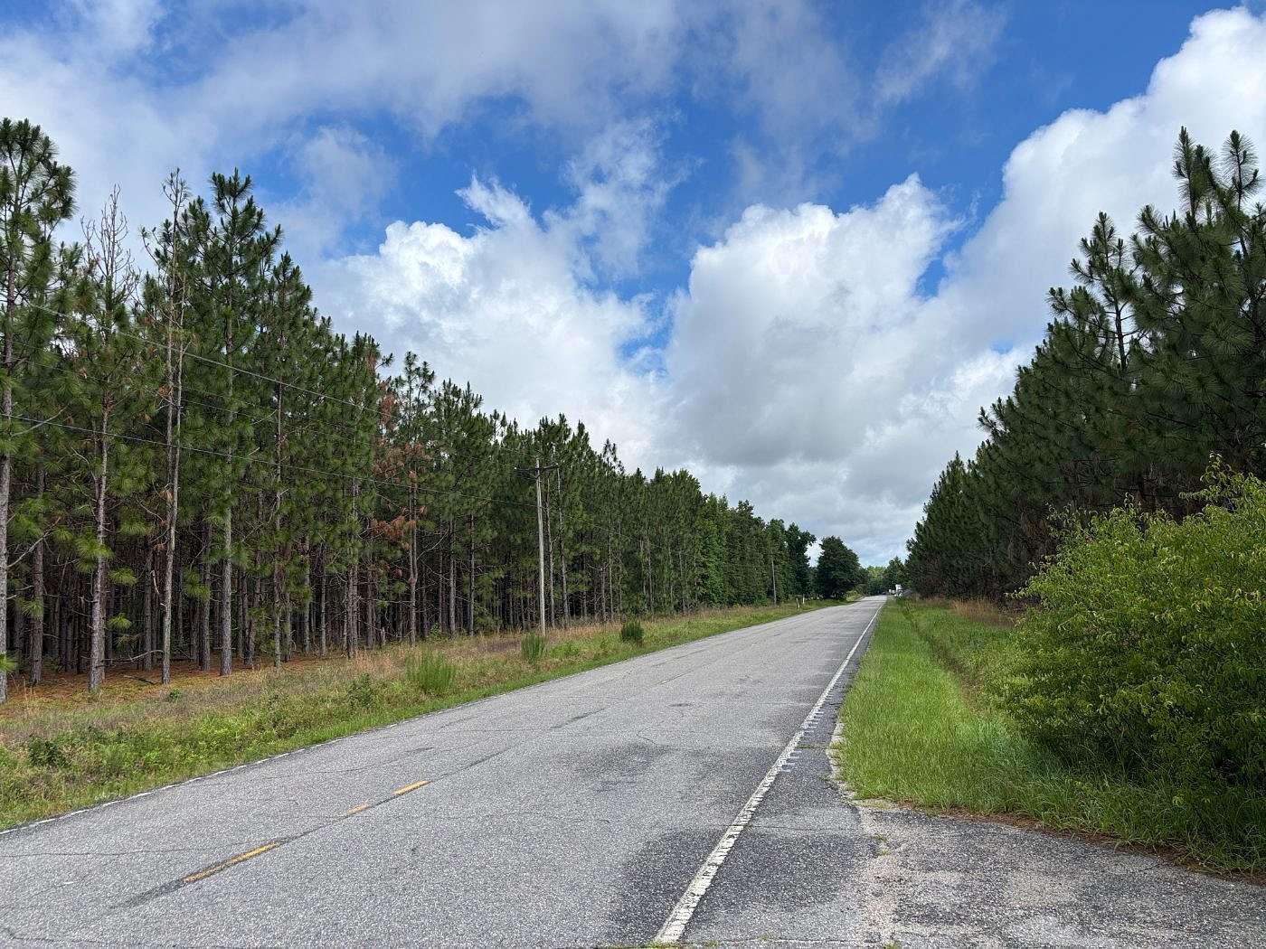 171 Acres of Land for Sale in McColl, South Carolina