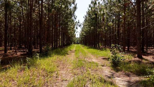 171 Acres of Land for Sale in McColl, South Carolina