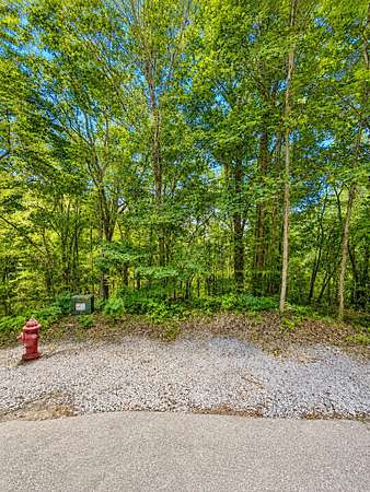 0.71 Acres of Residential Land for Sale in Smithville, Tennessee