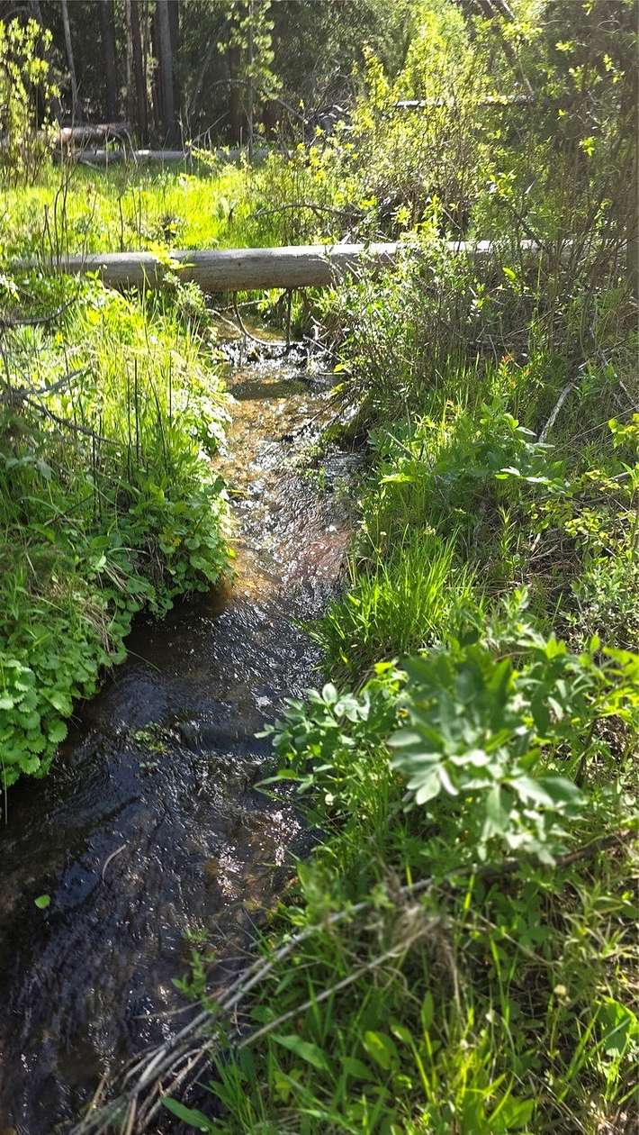 2 Acres of Residential Land for Sale in Anaconda, Montana