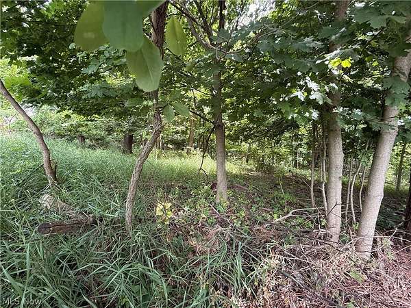 0.36 Acres of Residential Land for Sale in Malvern, Ohio