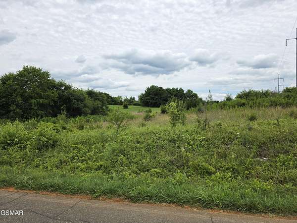 0.6 Acres of Residential Land for Sale in White Pine, Tennessee