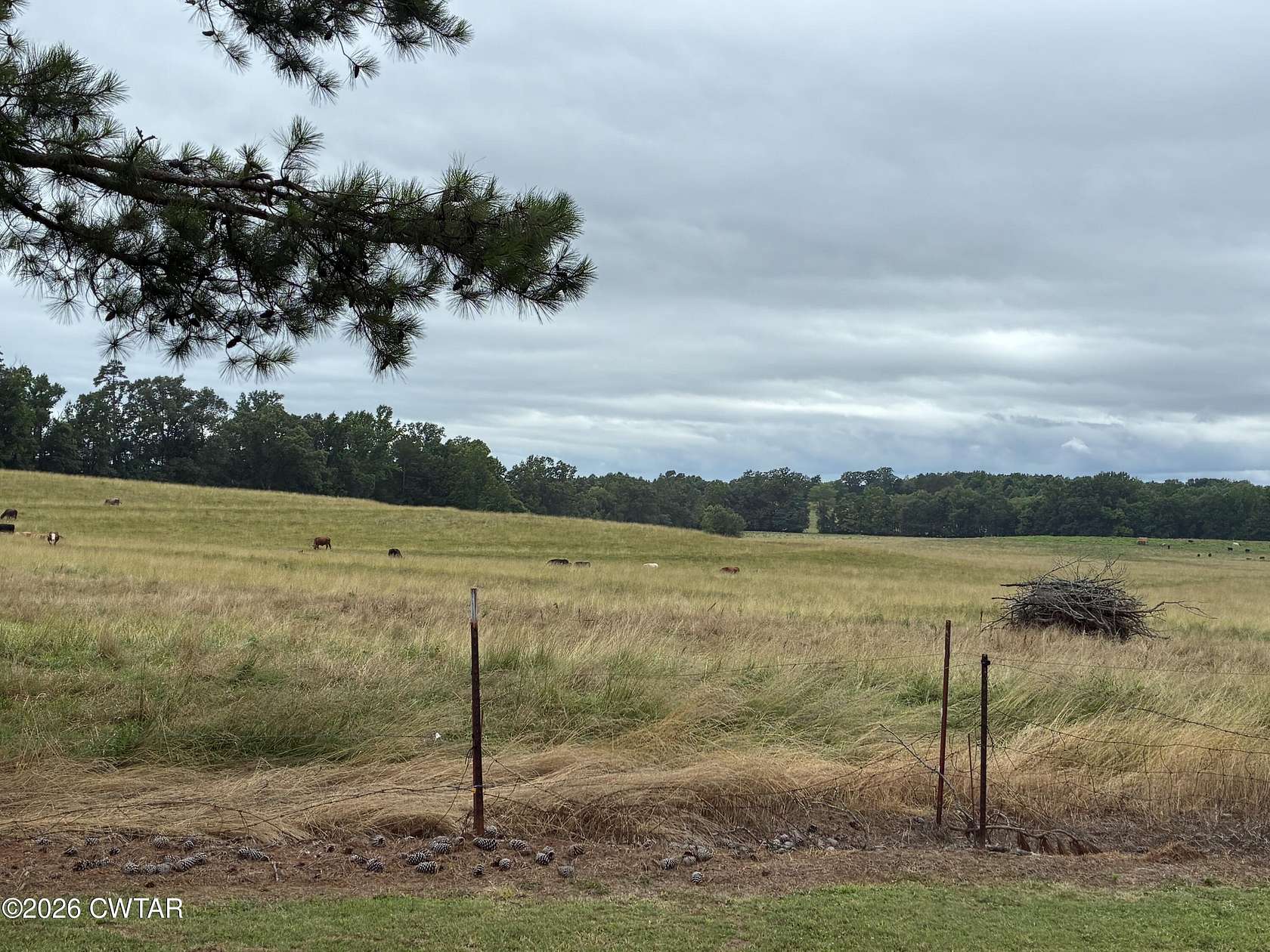 112 Acres of Land for Sale in Finger, Tennessee