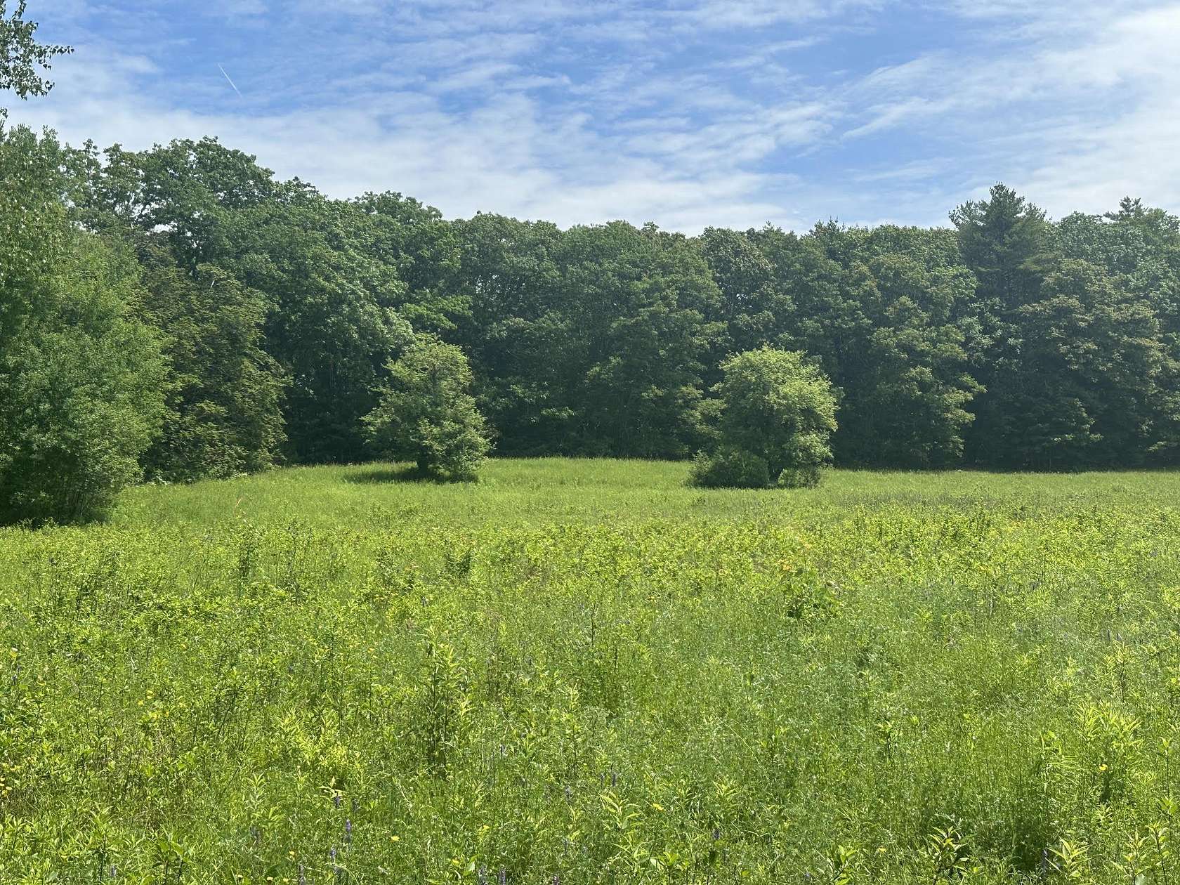 11.6 Acres of Land for Sale in Belfast, Maine