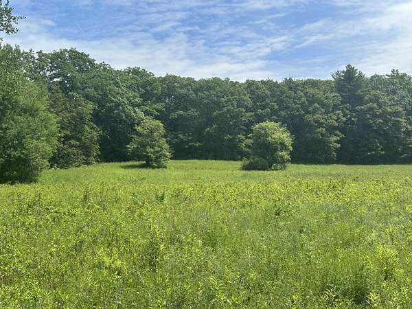 11.6 Acres of Land for Sale in Belfast, Maine