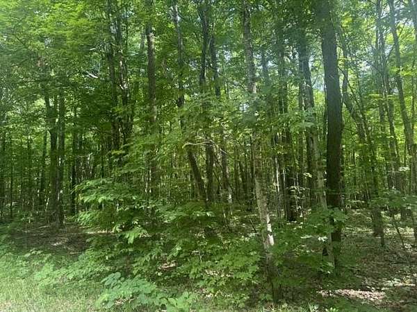 5 Acres of Residential Land for Sale in Alba, Michigan