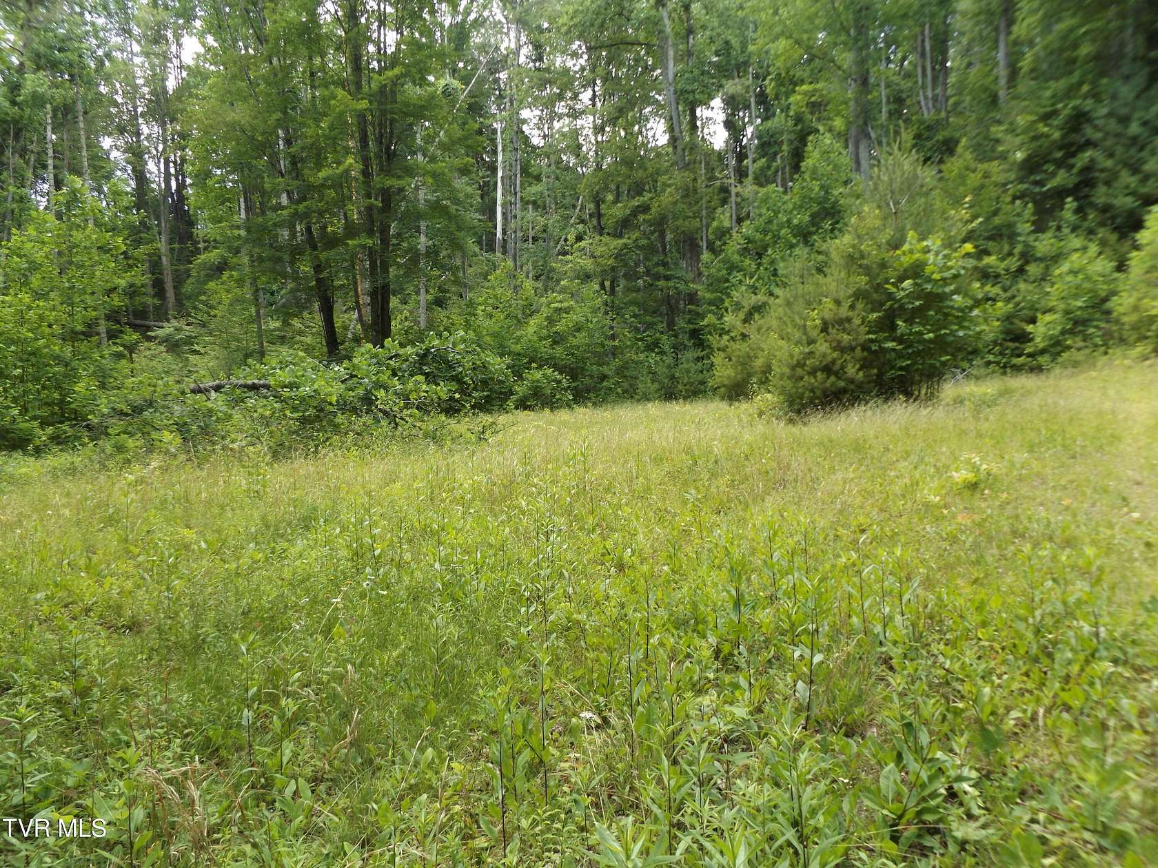 5.18 Acres of Residential Land for Sale in Butler, Tennessee
