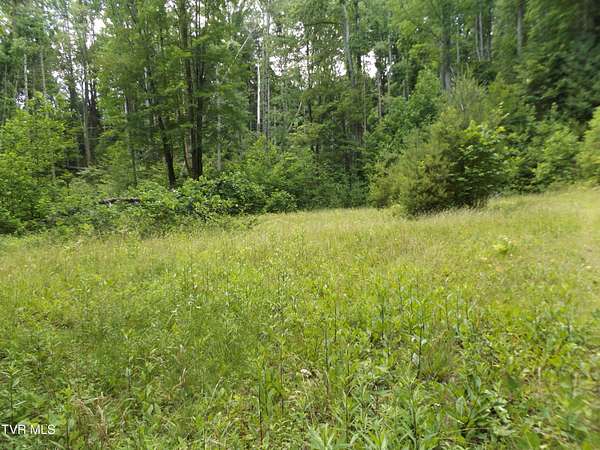 5.18 Acres of Residential Land for Sale in Butler, Tennessee