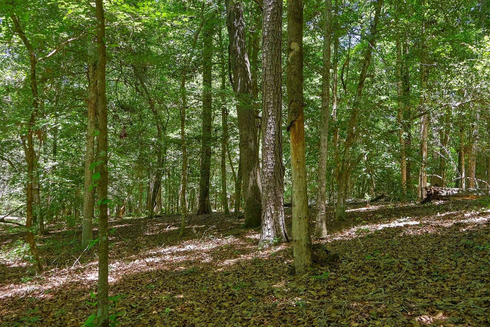 54 Acres of Land for Sale in Columbus, Georgia